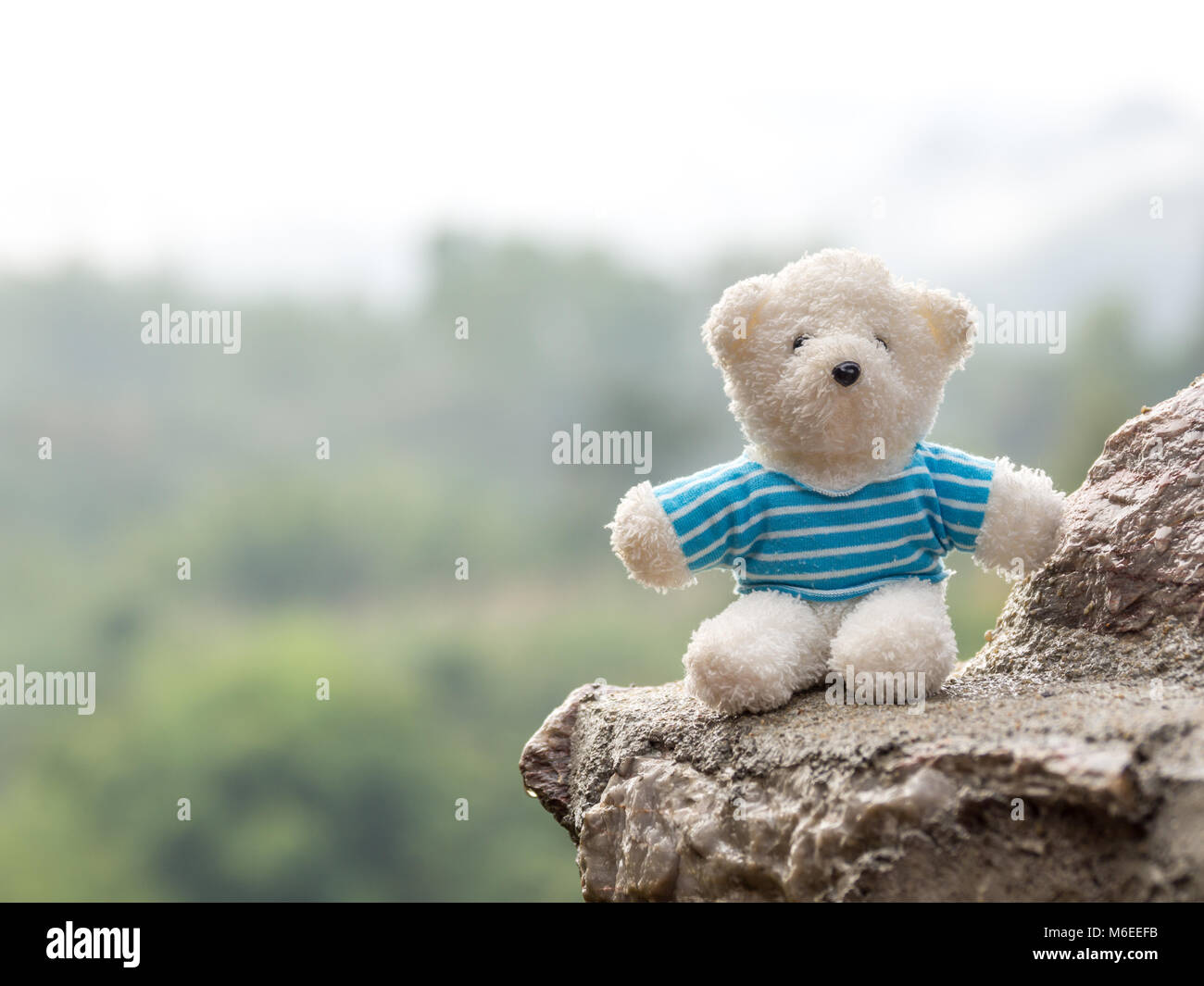 I LOVE FREYA NEW Gift Present Birthday Valentine Teddy Bear Cute Cuddly