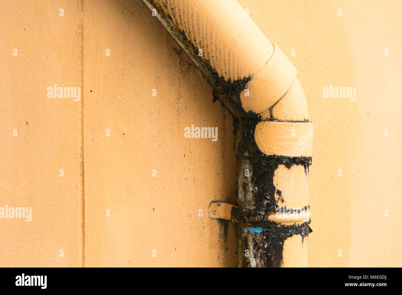 Water leak pipe wall, moss and rusty water supply pipe background of