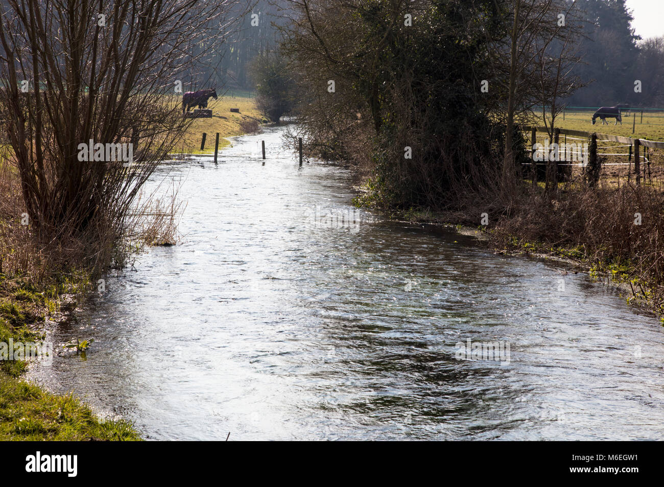Flooded Stream in West Sussex Stock Photo - Alamy