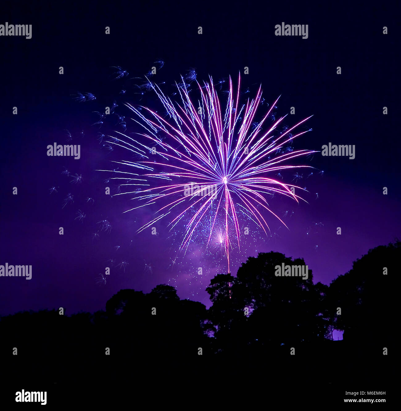 Firework burst over trees Stock Photo