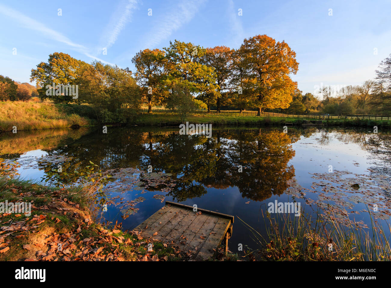 View across an English pond towards  an Autumn woodland backdrop Stock Photo