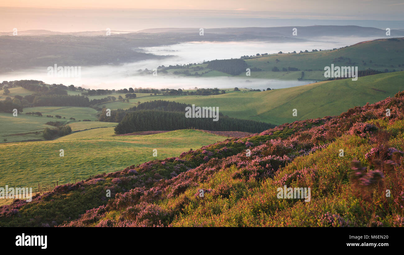 Dawn over valley mist in the Vale of Clwyd, Wales Stock Photo