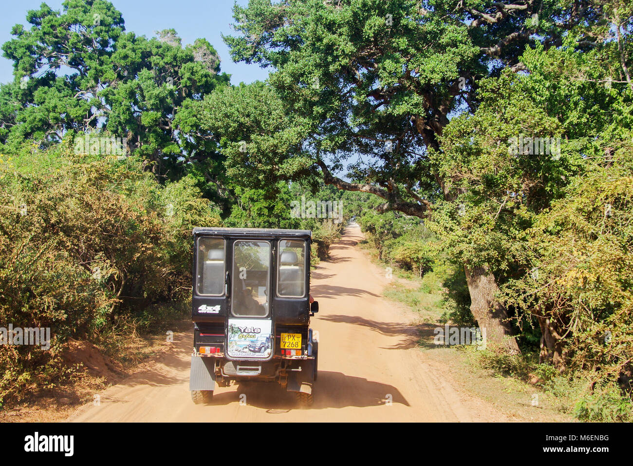 A safari jeep on a dirt road in the Yala National Park in Sri Lanka Stock Photo