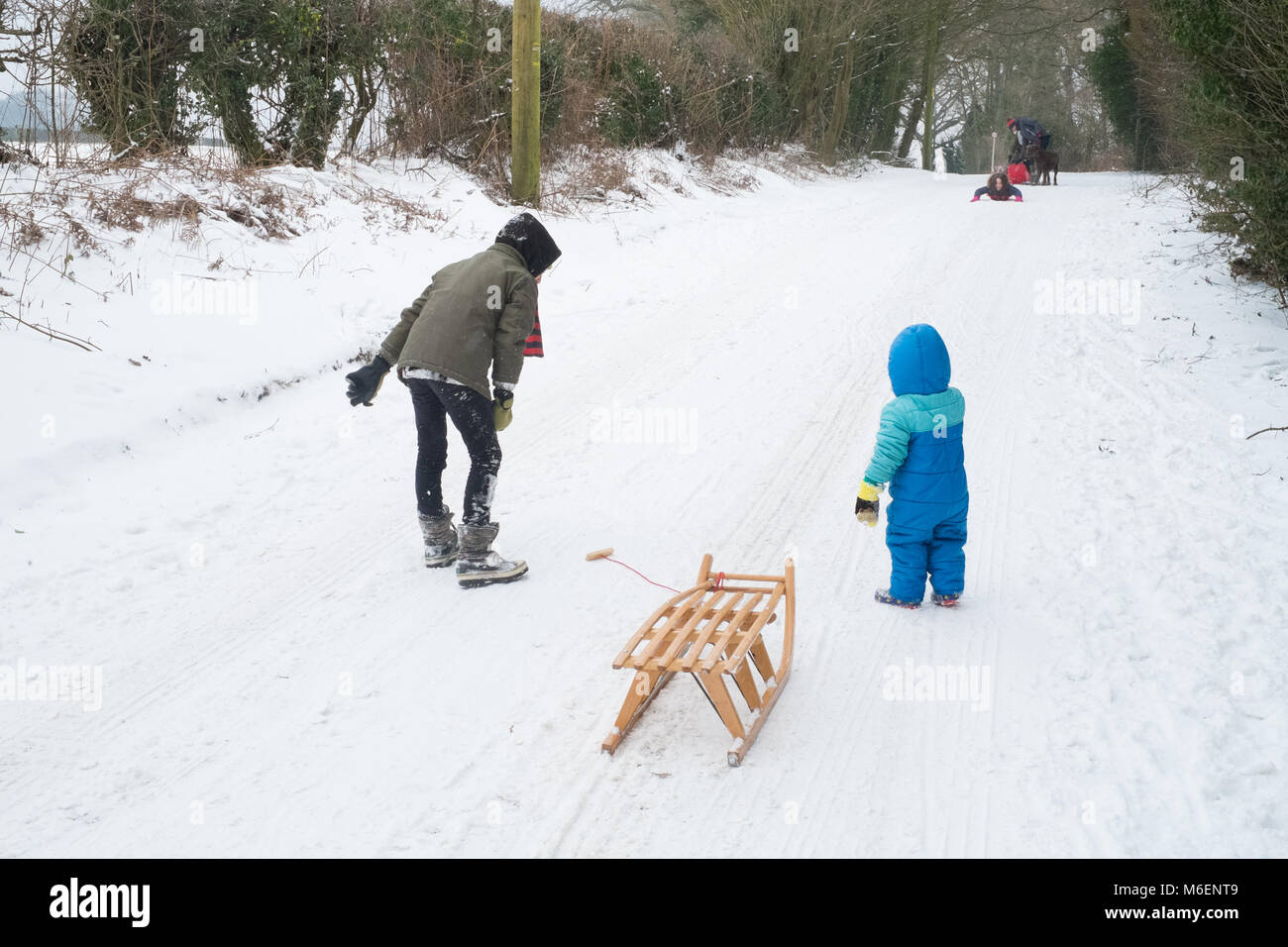 Tobogganing or sledging in the snow , Medstead, Alton, Hampshire