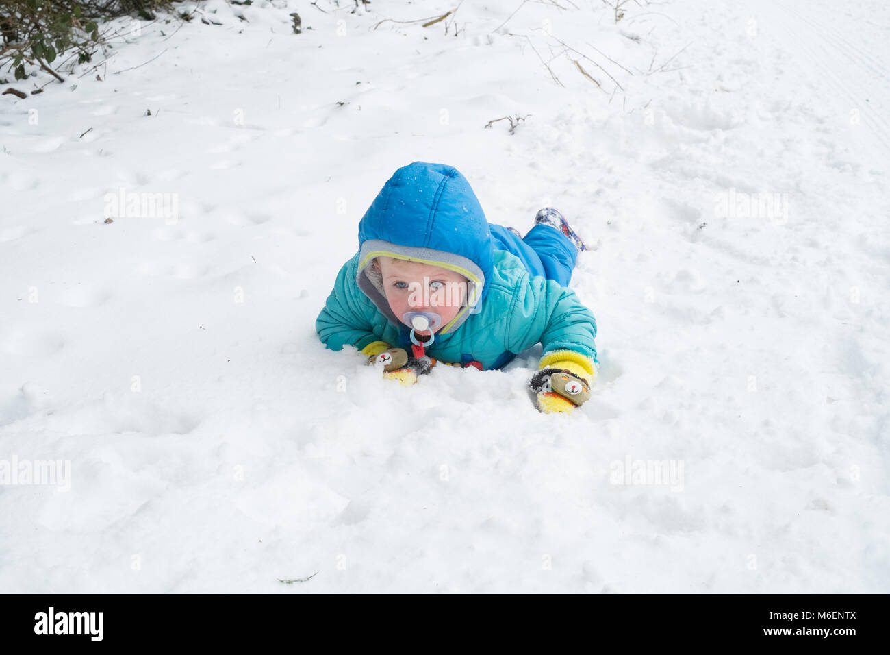 Eighteen month old baby boy in the snow, Medstead, Alton, Hampshire, England, United Kingdom. Stock Photo