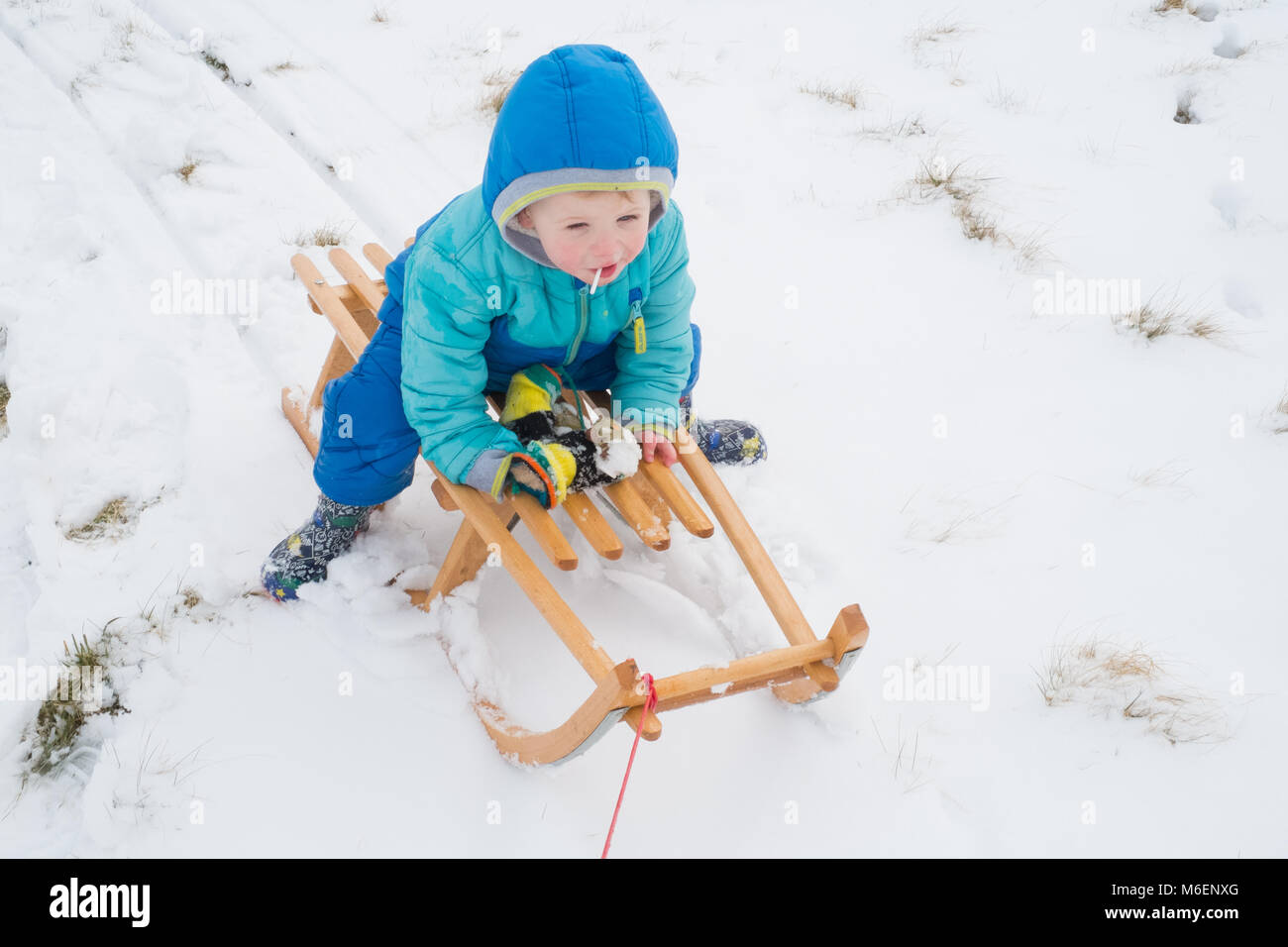 Eighteen month old baby boy in the snow, Medstead, Alton, Hampshire, England, United Kingdom. Stock Photo