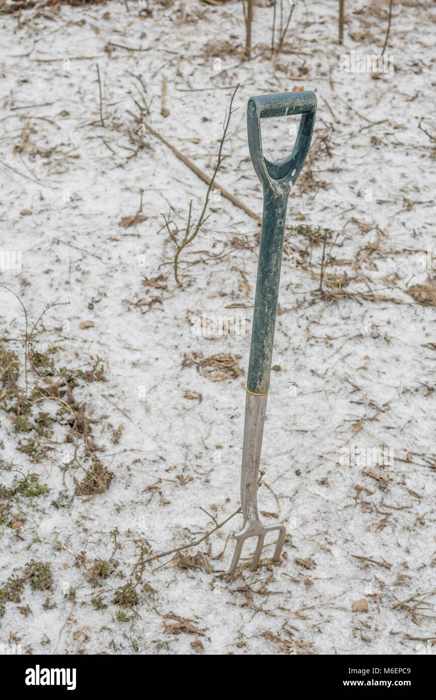Winter Gemuse Garten Stock Photos Winter Gemuse Garten Stock