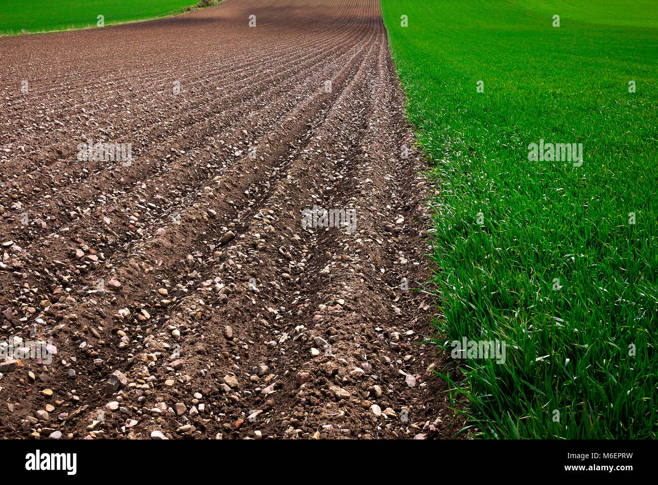 ploughed field next to field of grass. Stock Photo