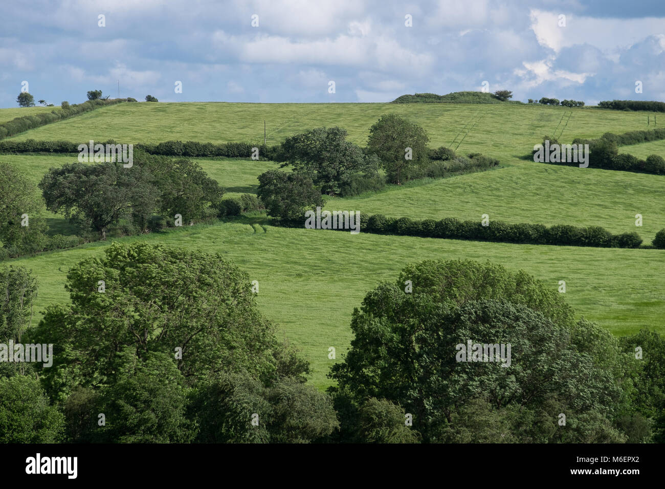 View of green fields over British countryside Stock Photo