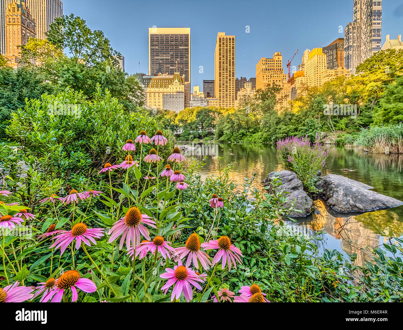 Central Park, New York City  in early spring Stock Photo