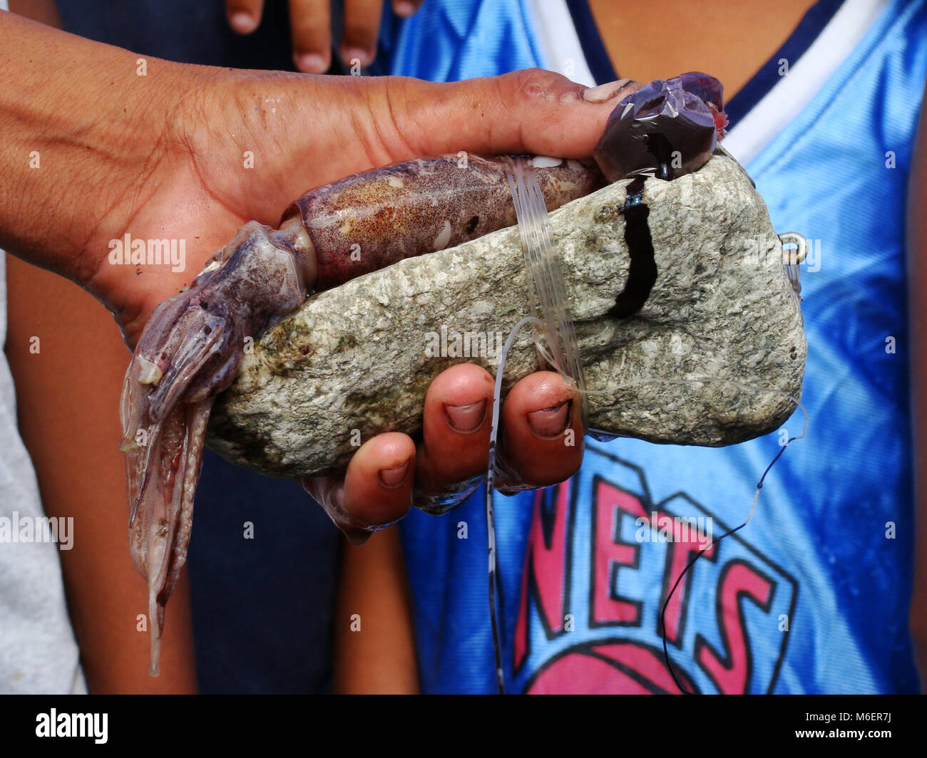 Squid and its ink are used as bait in the artisanal handline fishery
