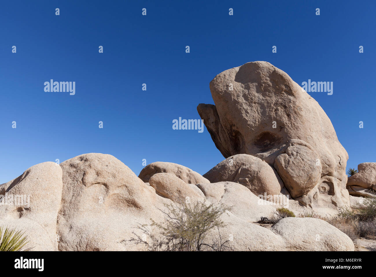 Joshua Tree National Park, California: Whale shaped rock formation along Arch Rock trail in the White Tank area. Stock Photo