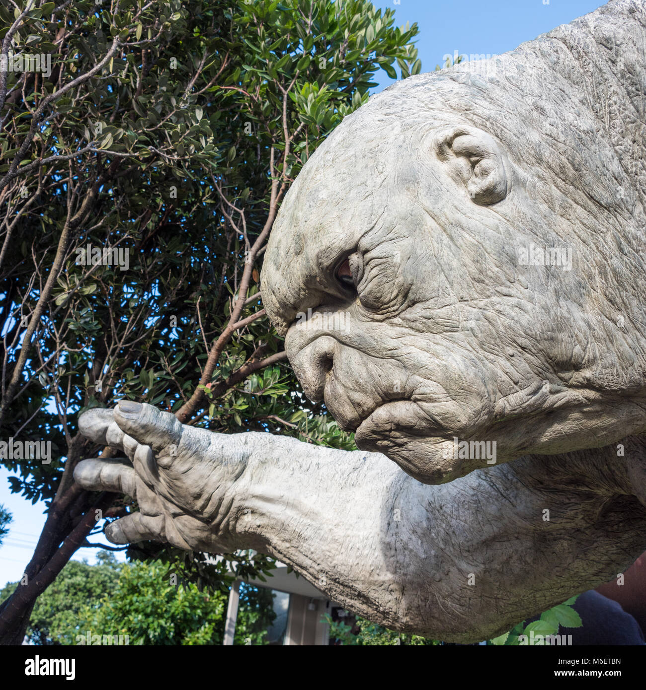 Weta new zealand wellington hires stock photography and