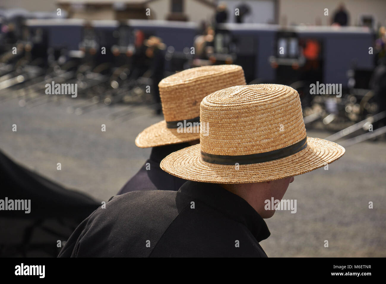 the crowd at a typical Amish festival called a "mud sale." Lancaster