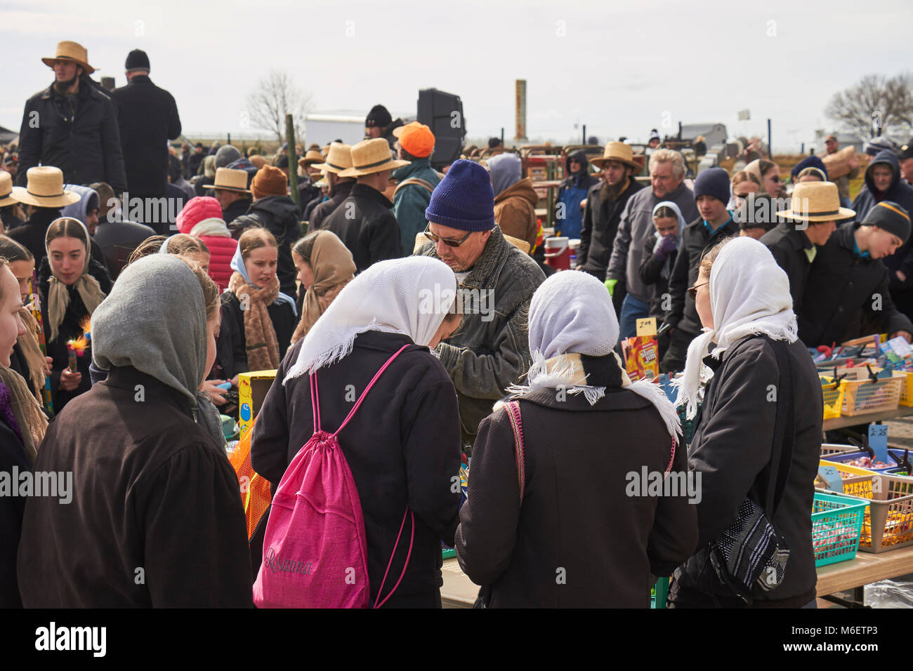the crowd at a typical Amish festival called a "mud sale." Lancaster