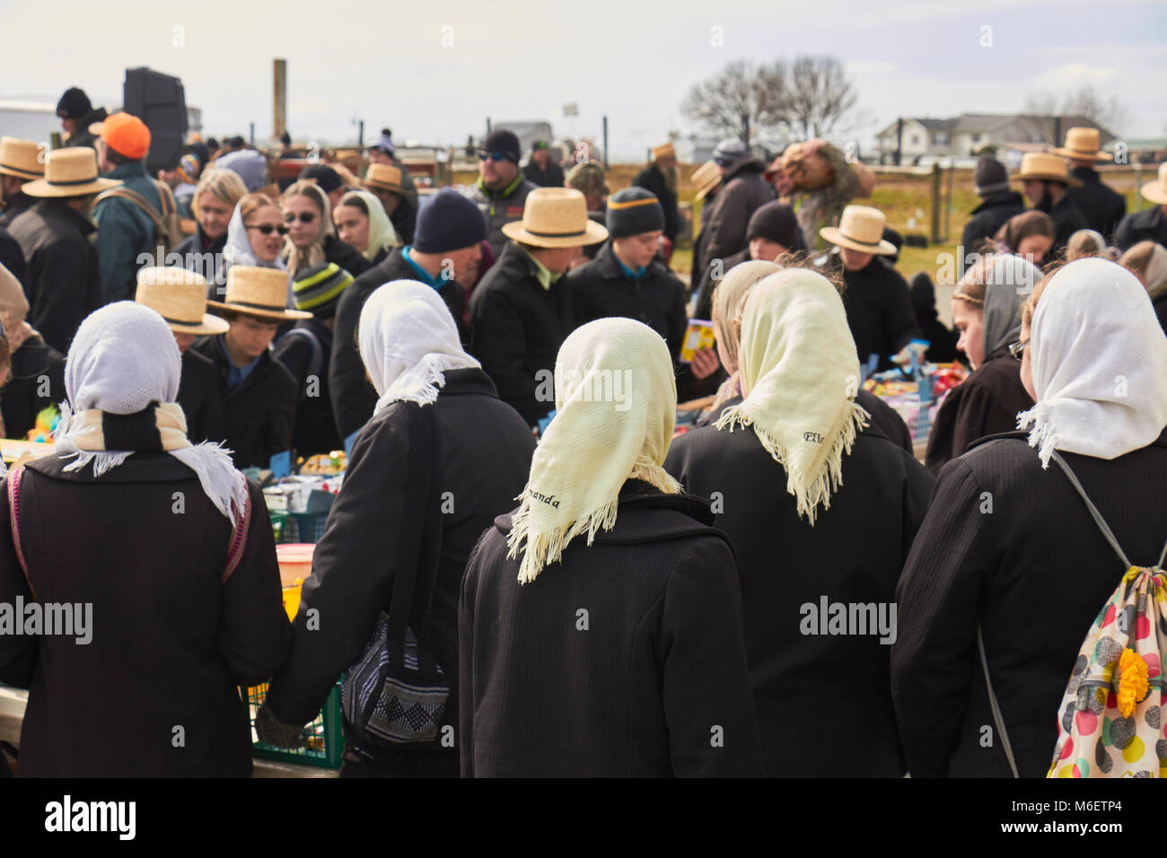 the crowd at a typical Amish festival called a "mud sale." Lancaster