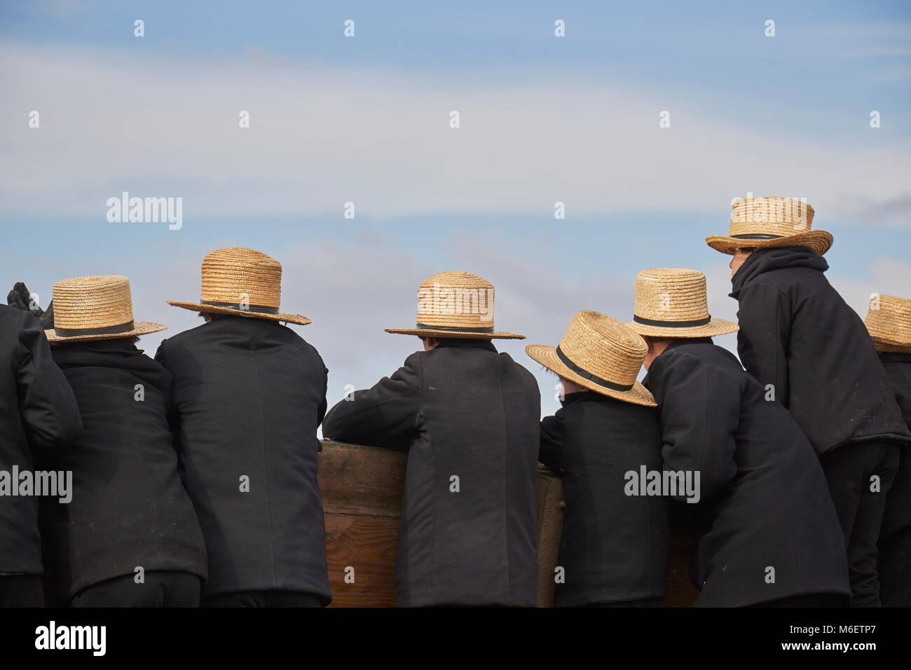 the crowd at a typical Amish festival called a "mud sale." Lancaster County, Pennsylvania, USA