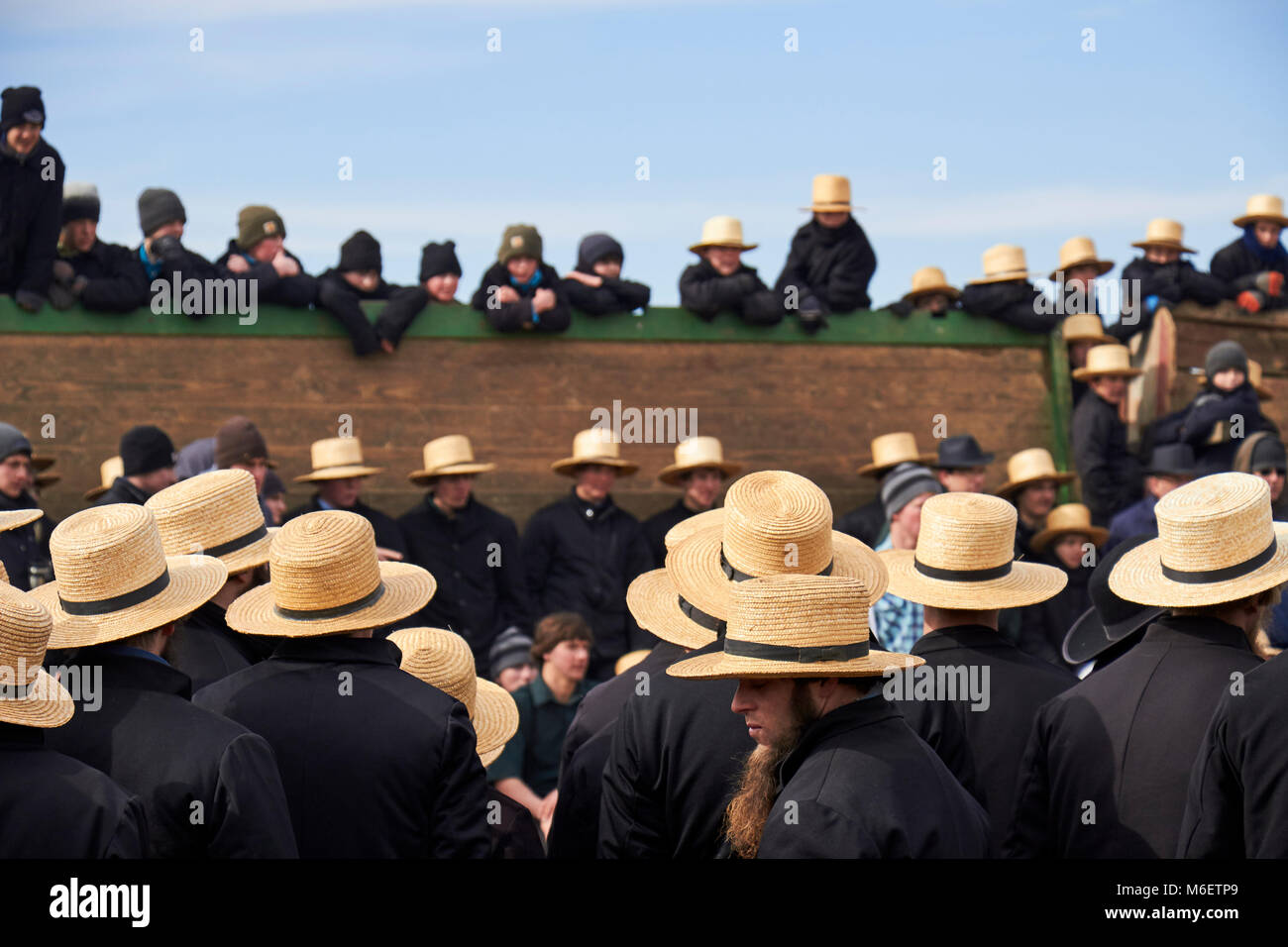 the crowd at a typical Amish festival called a "mud sale." Lancaster