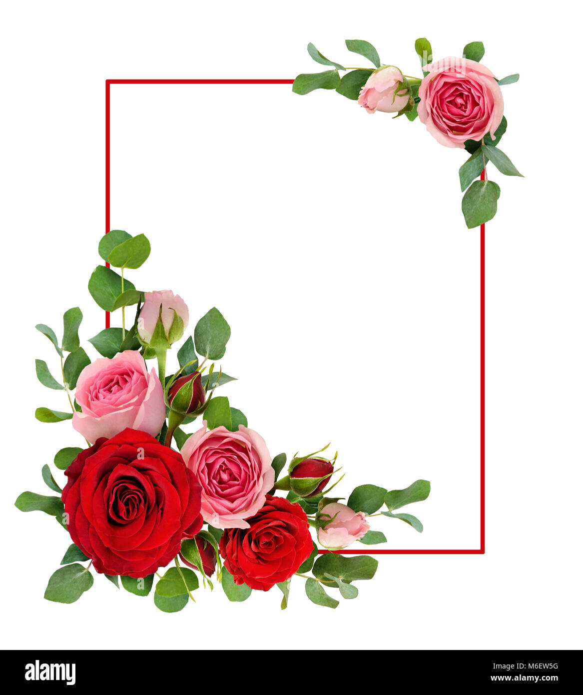 Red and pink rose flowers with eucalyptus leaves in a corner ...