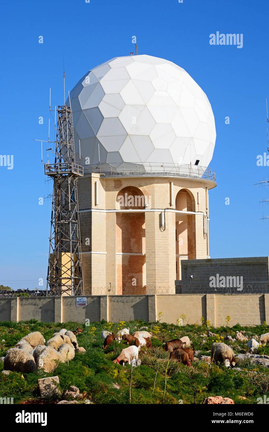 View of Dingli Aviation radar station with sheep and goats in the foreground, Dingli, Malta, Europe. Stock Photo