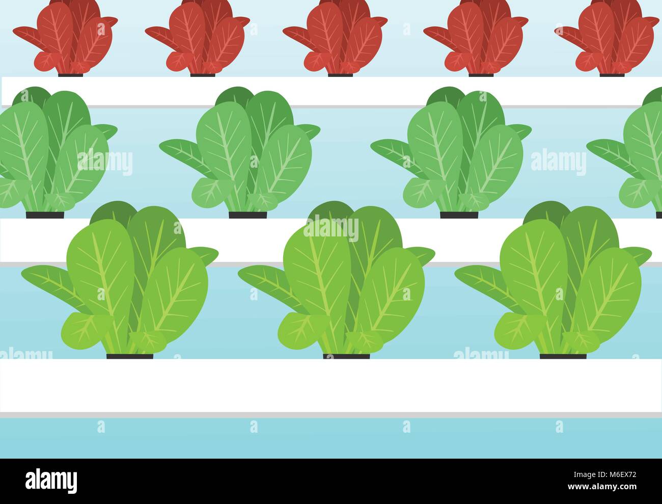Hydroponics plants farm in flat vector art cartoon Stock Vector