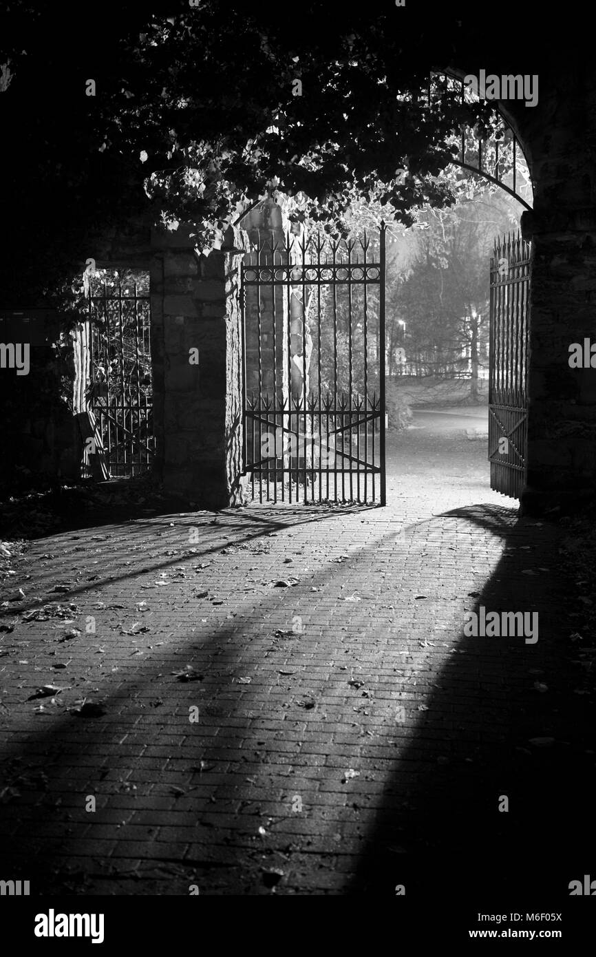 Night shot of a metal gate to the castle park of Muenster, Germany against the light. Stock Photo