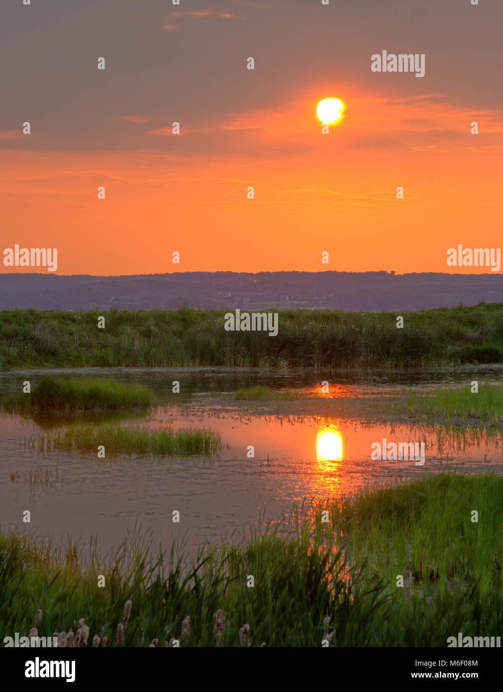 Artificial Swamp High Resolution Stock Photography and Images - Alamy