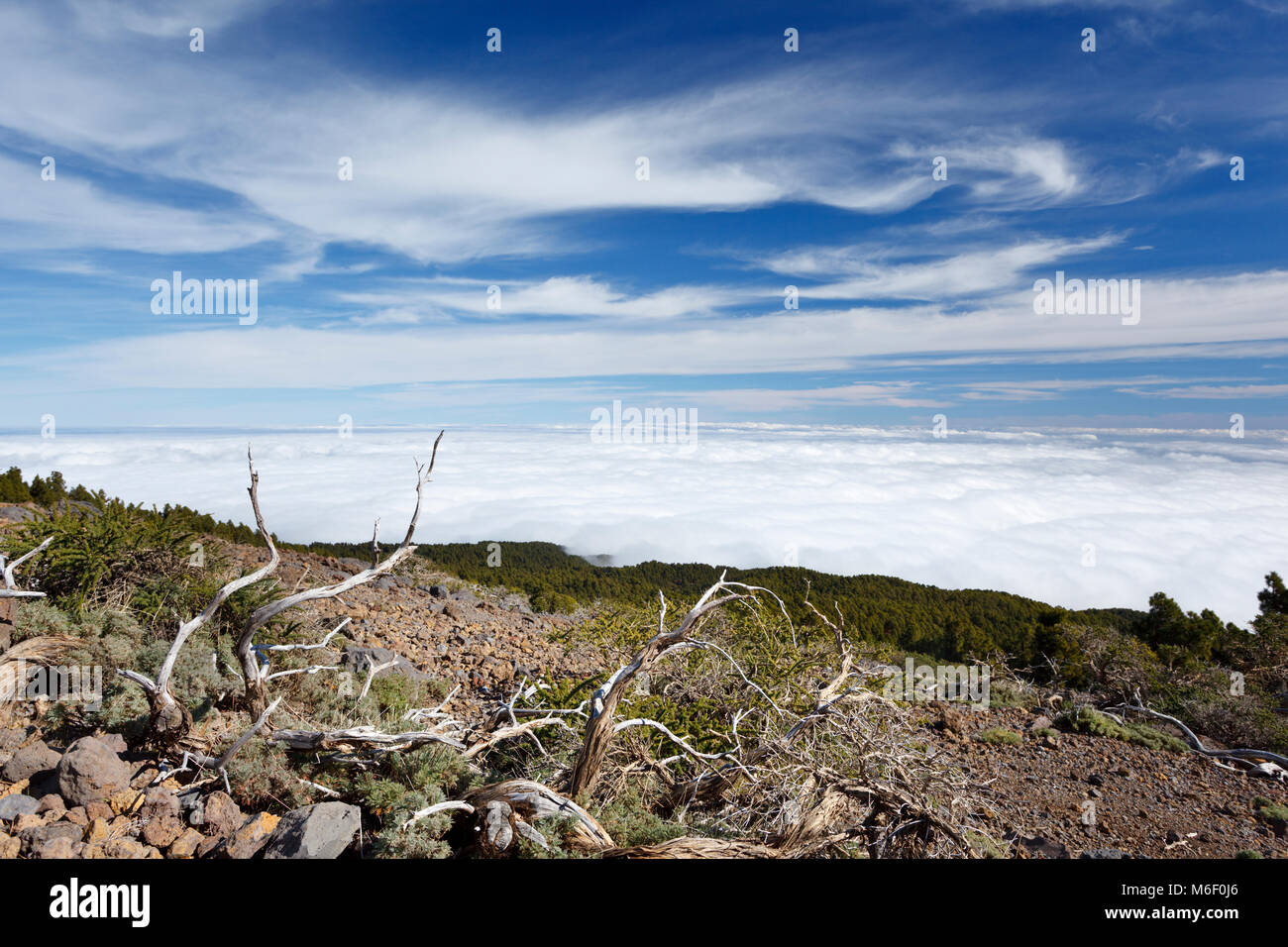 View from halfway to the Pico de la Nieve in La Palma, Spain down to the cloud layer. Stock Photo
