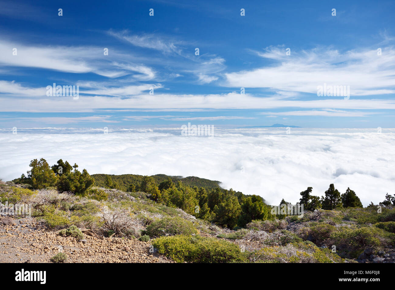 View from the Pico de la Nieve in La Palma, Spain to Tenerife floating on clouds. Stock Photo