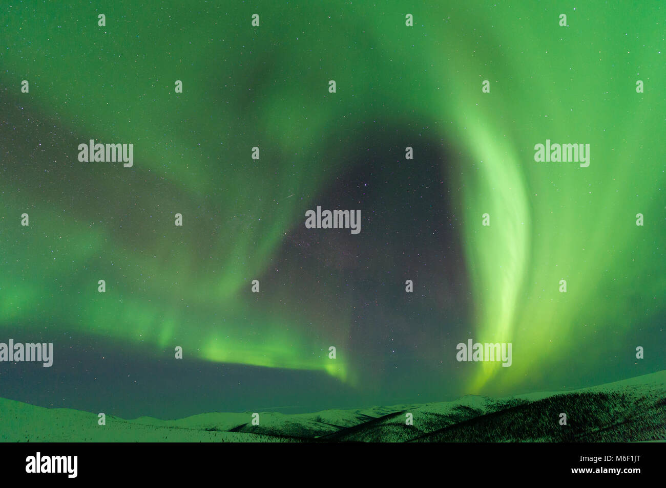 Northern lights, Aurora borealis. North of Fairbanks, Alaska, USA March, 2016, Dominique Braud