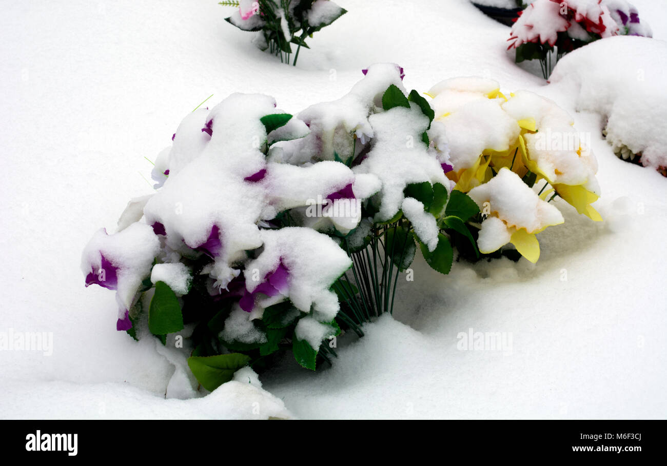 Artificial flowers on a grave with snow on them, UK Stock Photo