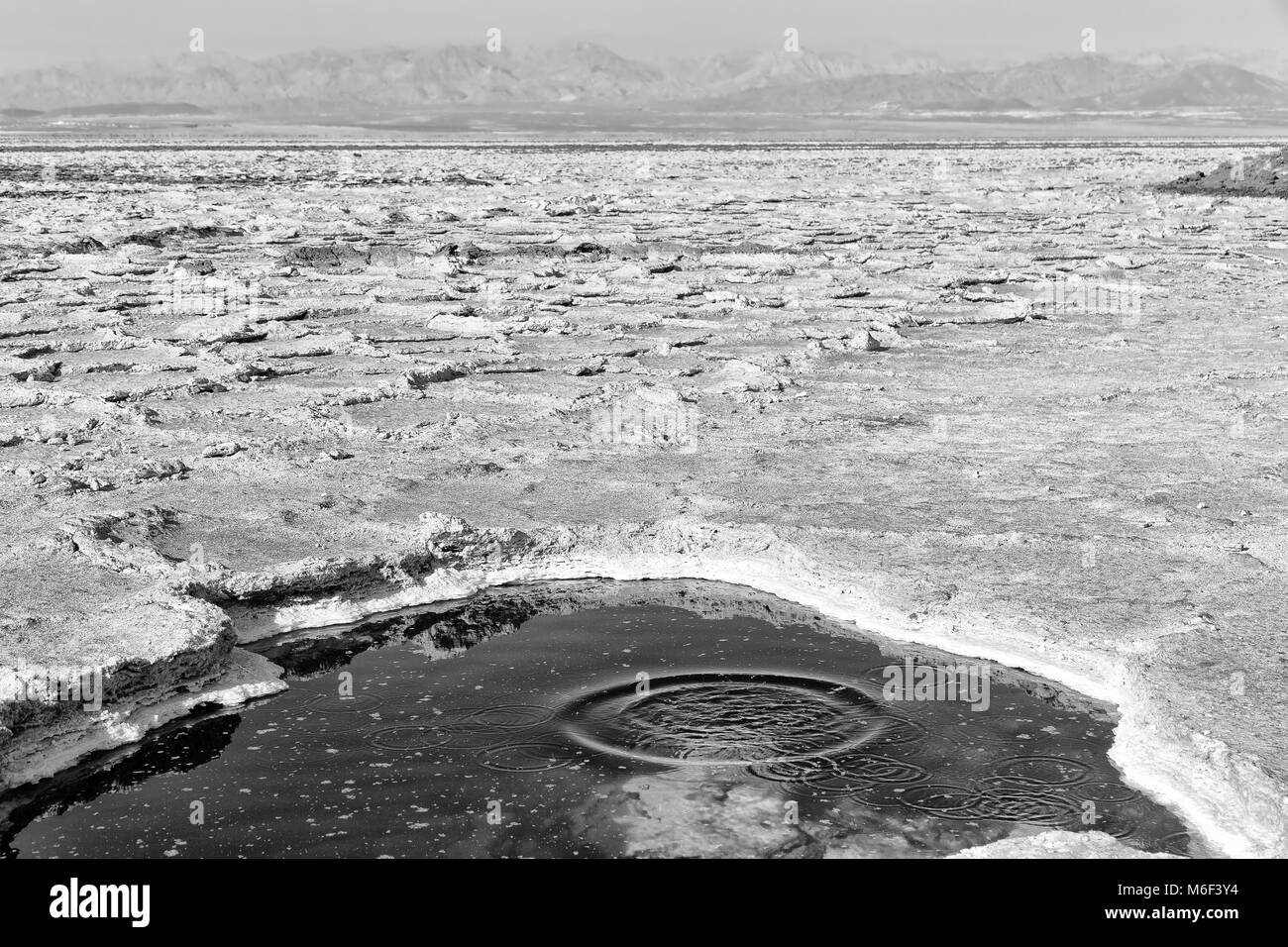 in  danakil ethiopia africa    the black lake with boiling oil and hot Stock Photo