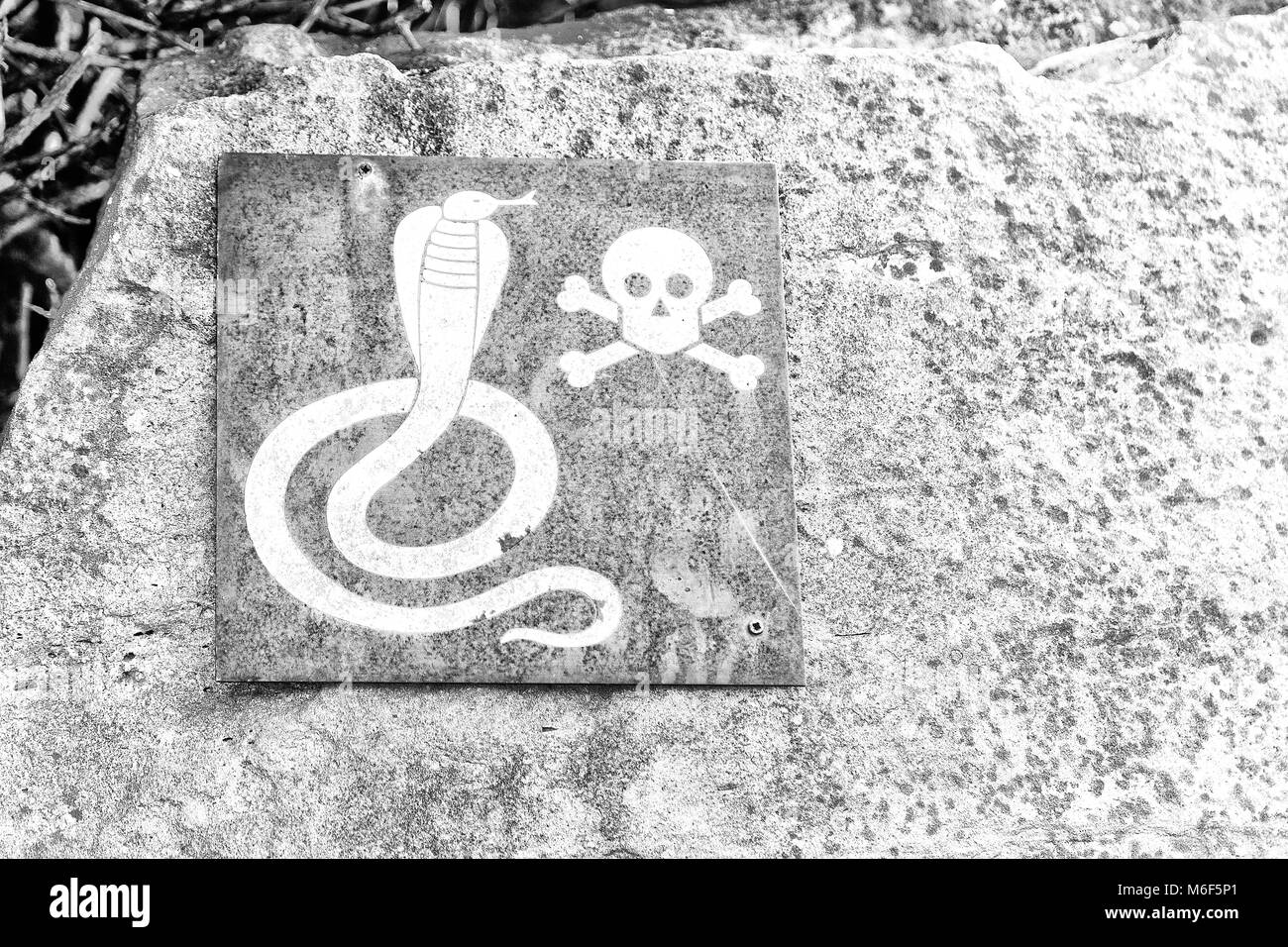 in south africa the metal signal of the danger for wild snake and the skull and bones in a rock concept od fear Stock Photo