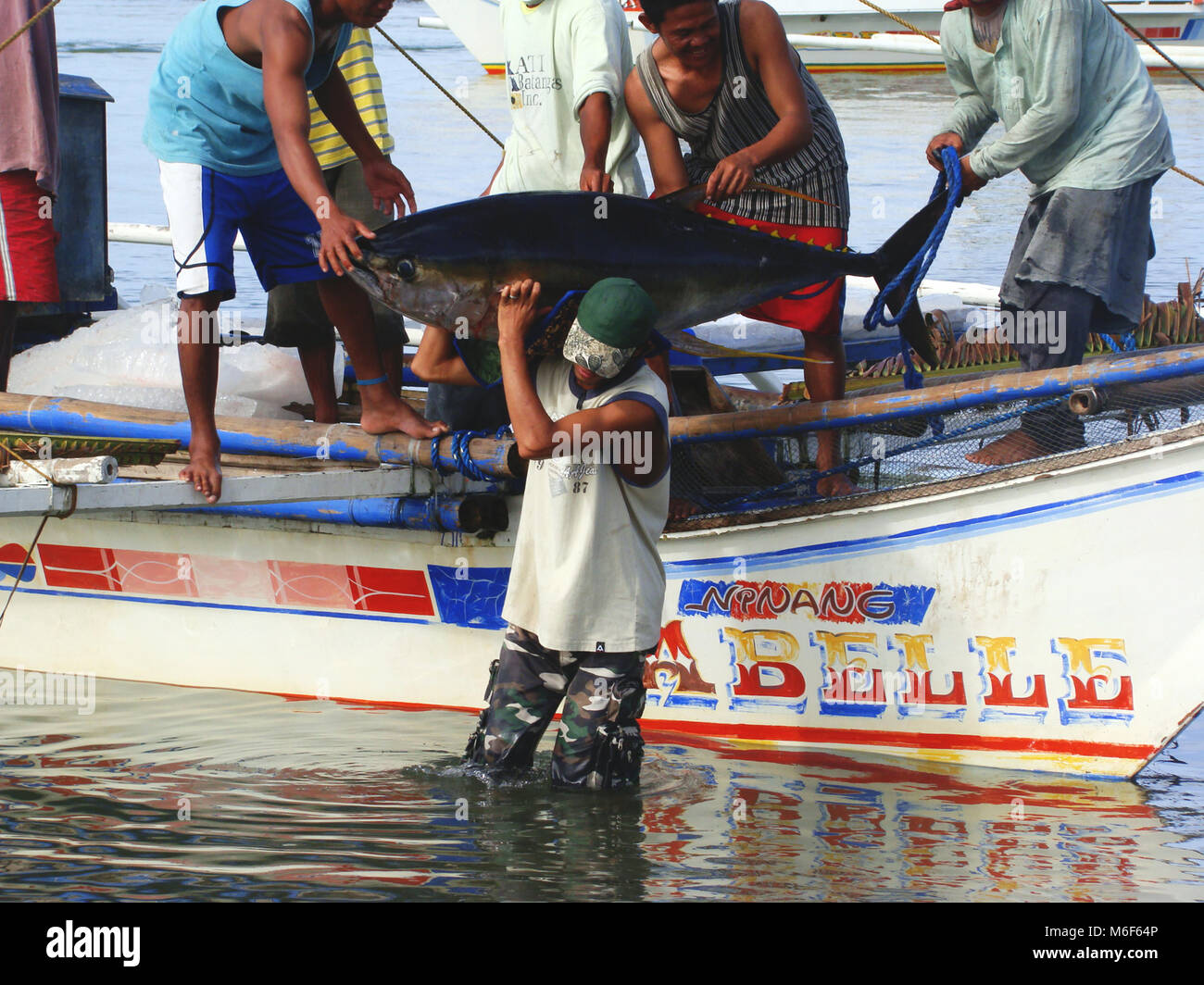 Artisanal Filipino handline fishermen landing yellowfin tuna Thunnus  albacares in Occidental Mindoro Stock Photo - Alamy