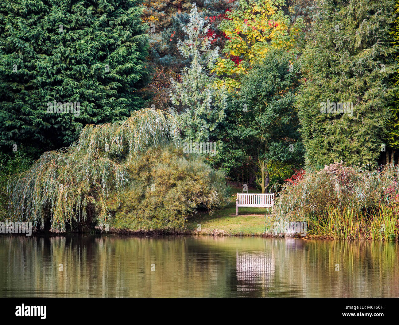 Bodenham arboretum, worcestershire hires stock photography and images