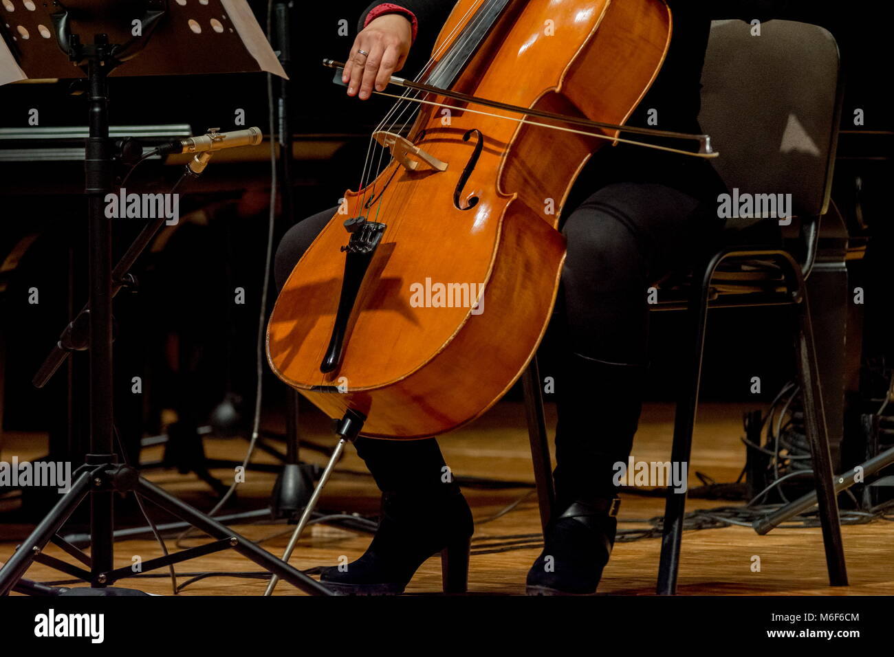 Young Woman Plays Cello Stock Photo Alamy young-woman-plays-cello-stock-photo-alamy