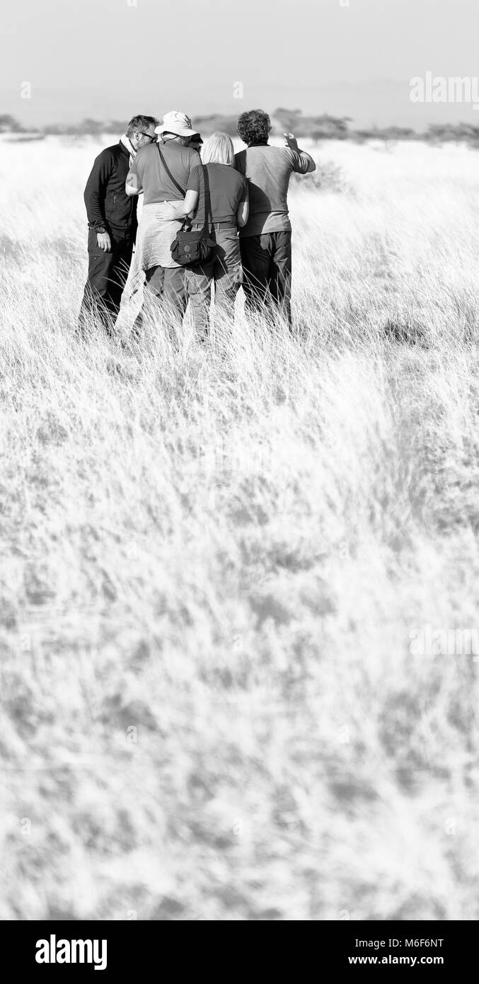 in   ethiopia africa  in the  national park tourist looking for wild animals Stock Photo