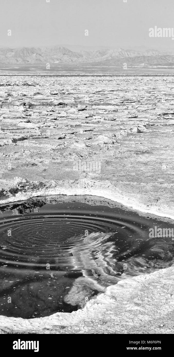 in  danakil ethiopia africa    the black lake with boiling oil and hot Stock Photo