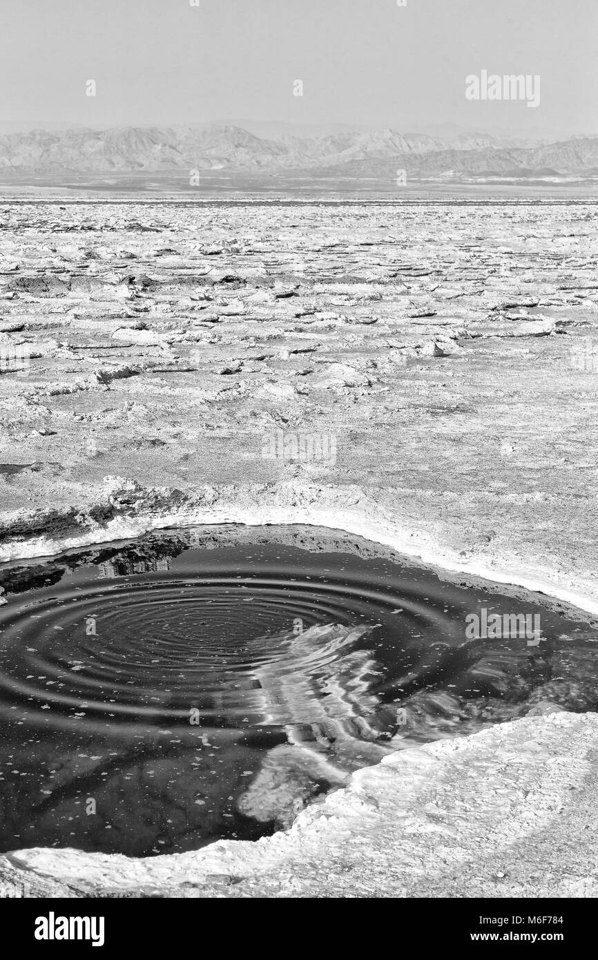 in  danakil ethiopia africa    the black lake with boiling oil and hot Stock Photo