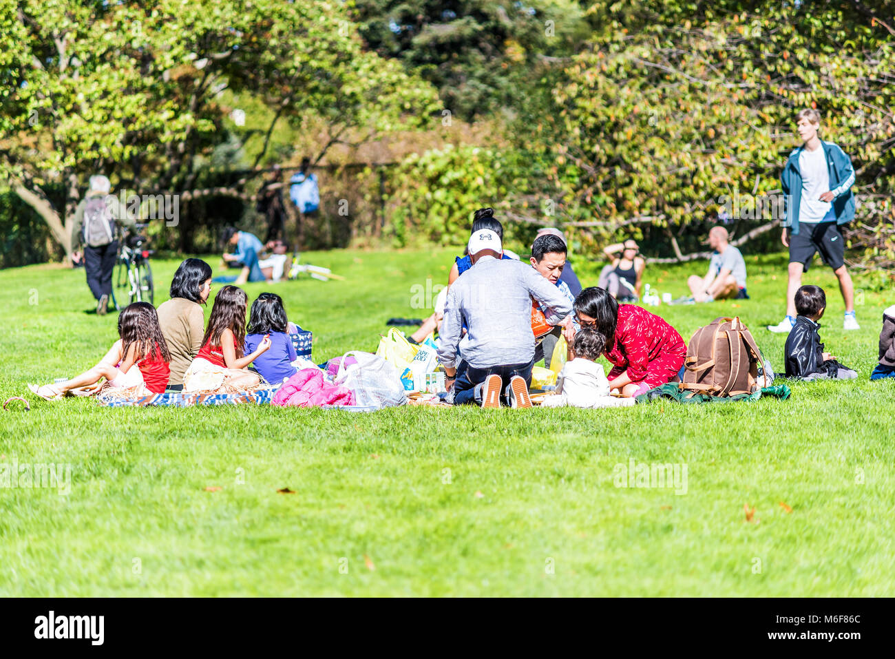 Indian family picnic hi-res stock photography and images - Alamy