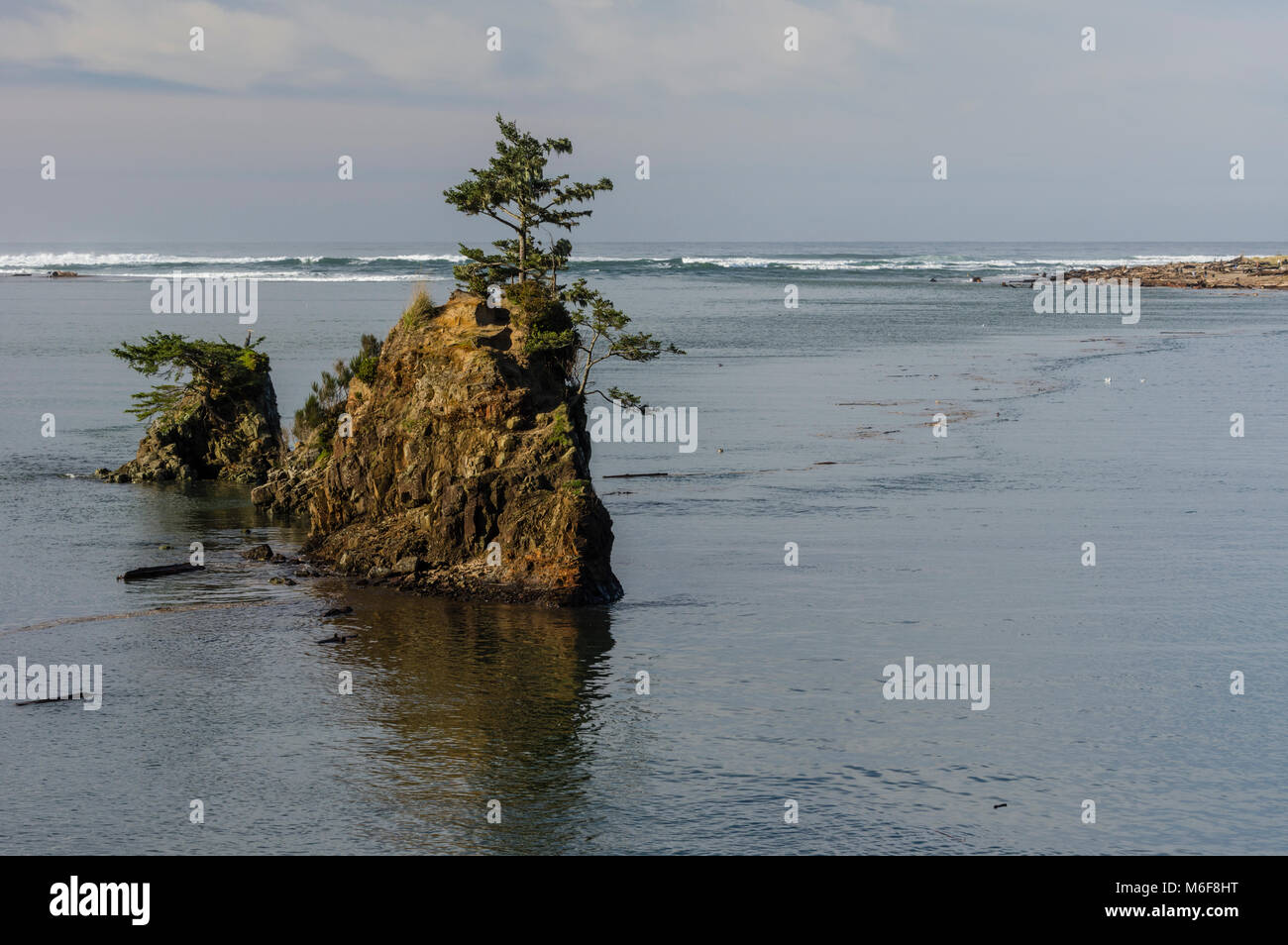 Rocky outcrop in Siletz Bay provides refuge for wildlife.  Lincoln City, Oregon Stock Photo