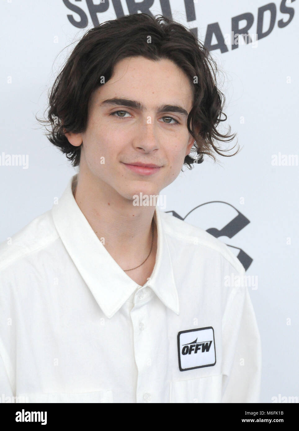 Timothee chalamet lady bird hi-res stock photography and images - Alamy