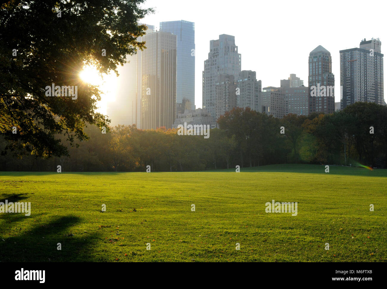 Central park at sunset, New York, USA Stock Photo - Alamy