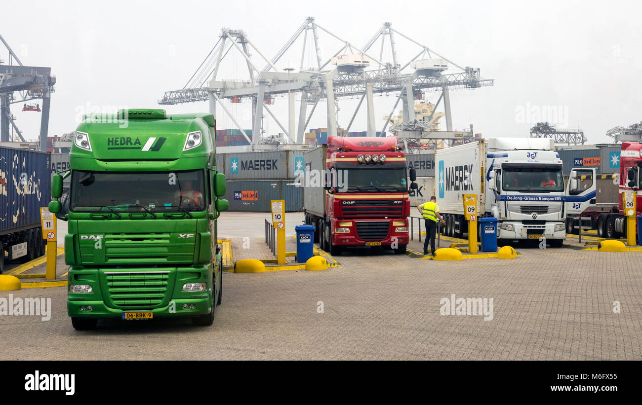 ROTTERDAM, NETHERLANDS - SEP 9, 2013: Container loaded trucks about to leave a shipping terminal in the Port of Rotterdam. Stock Photo