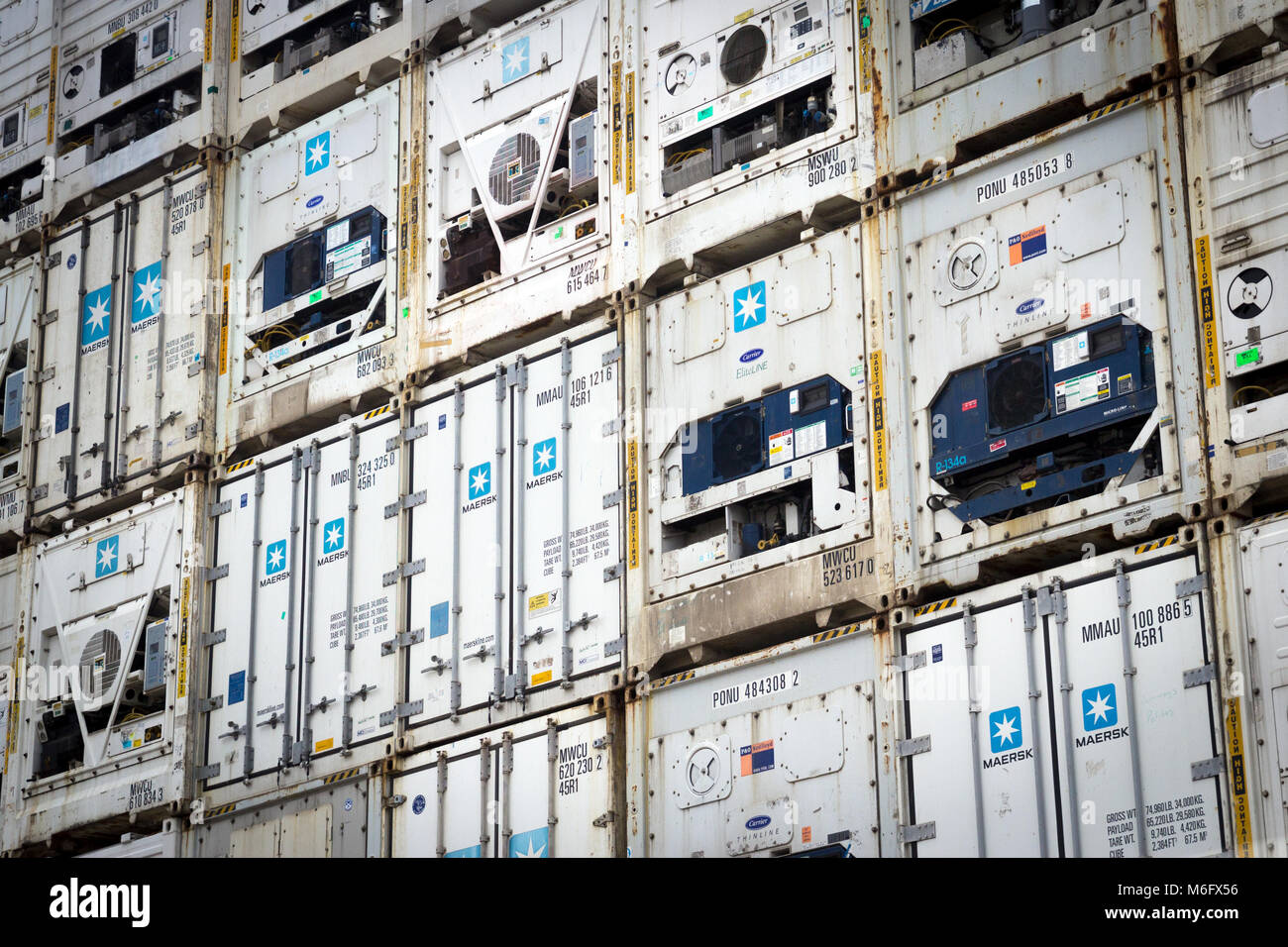 ROTTERDAM, NETHERLANDS - SEP 7, 2012: Refrigerated shipping containers stacked in the Port of Rotterdam. Stock Photo