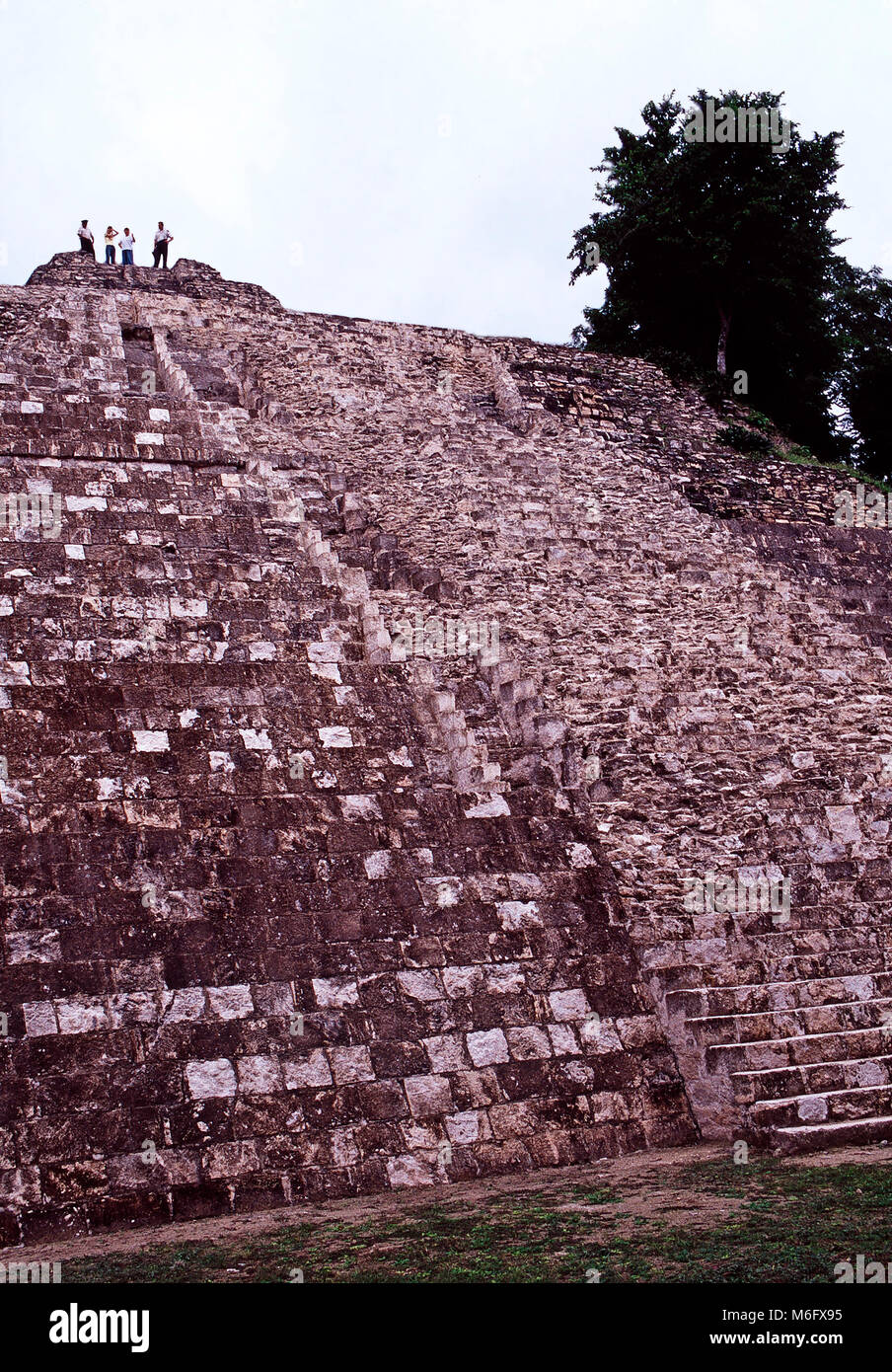 North acropolis maya ruins tikal hires stock photography and images