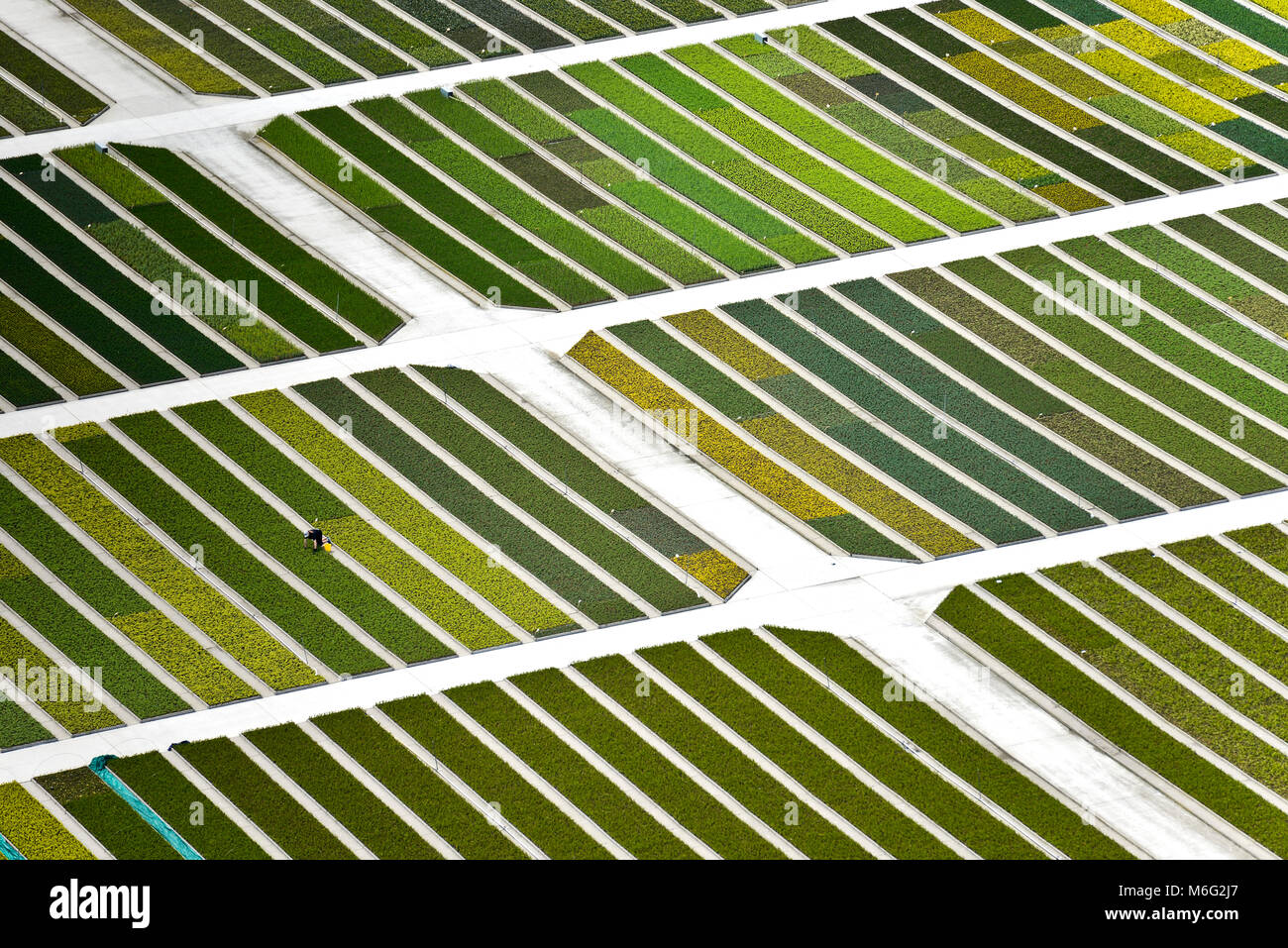 Aerial image of a plant nursery in Belgium Stock Photo Alamy