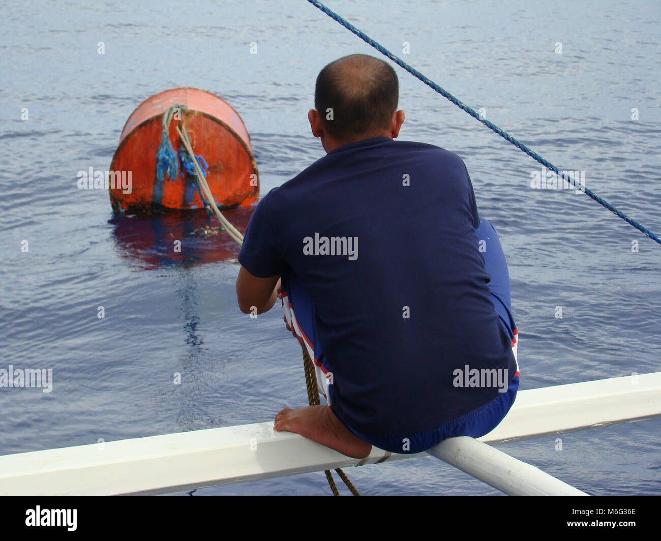 Yellowfin Tuna Aboard a Fishing Yacht after Fishing in the Sea Stock Photo  - Image of rods, tackle: 177036942