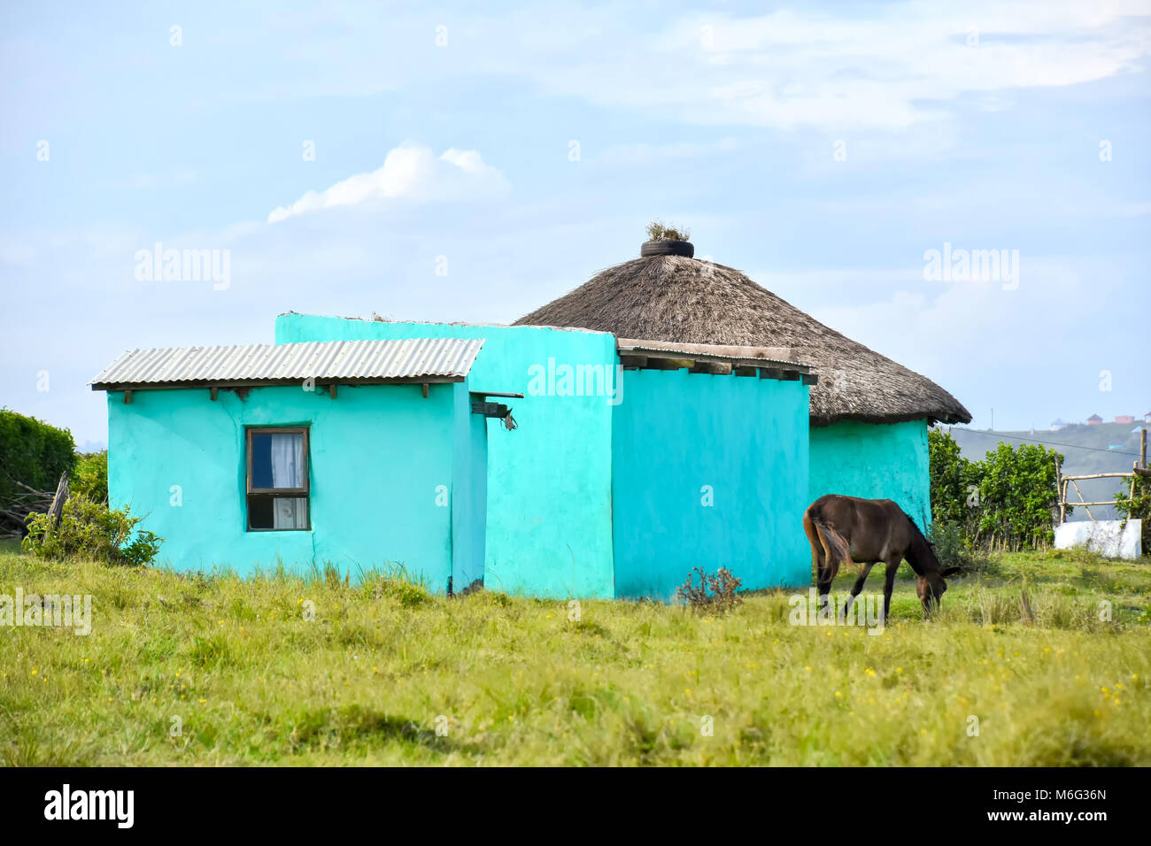 Xhosa round huts or houses or rondavels with thatched roofs
