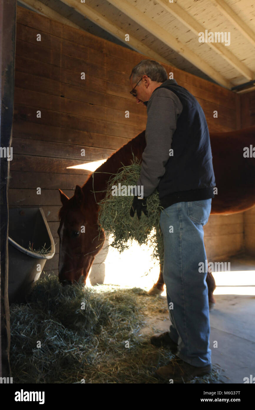 Horse Operations Volunteer. These volunteers help care for the park